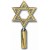 Polished Brass Star of David +$49.99