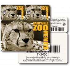 Custom Printed Full Color Plastic Membership Card Key Tags - 3-3/8" x 3-3/16" (Poly Laminate)
