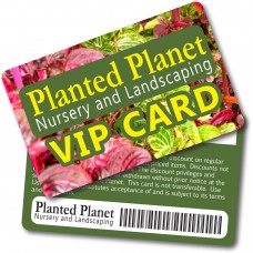 Custom Full Color Plastic Membership & Loyalty Cards (30 Mil Polystyrene)