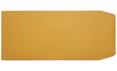 License Plate Envelopes - Blank, Self Seal, Brown Kraft (Package of 100)