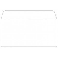 Blank Moist Seal White License Plate Envelopes (Package of 100)