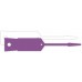 Self Locking Arrow Key Tags - Purple