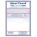 Custom Full Color Digital Paper-Backed Dealership Laser Window Labels - 8-1/2" x 11"