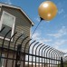Seamless Reusable Balloon - Gold