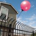 Seamless Reusable Balloon - Pink
