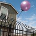 Seamless Reusable Balloon - Purple