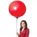 Jumbo Reusable Balloons