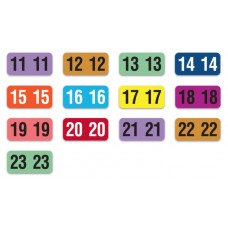 Color Coded Year Filing Labels - Ringbook System (270 Per Set)