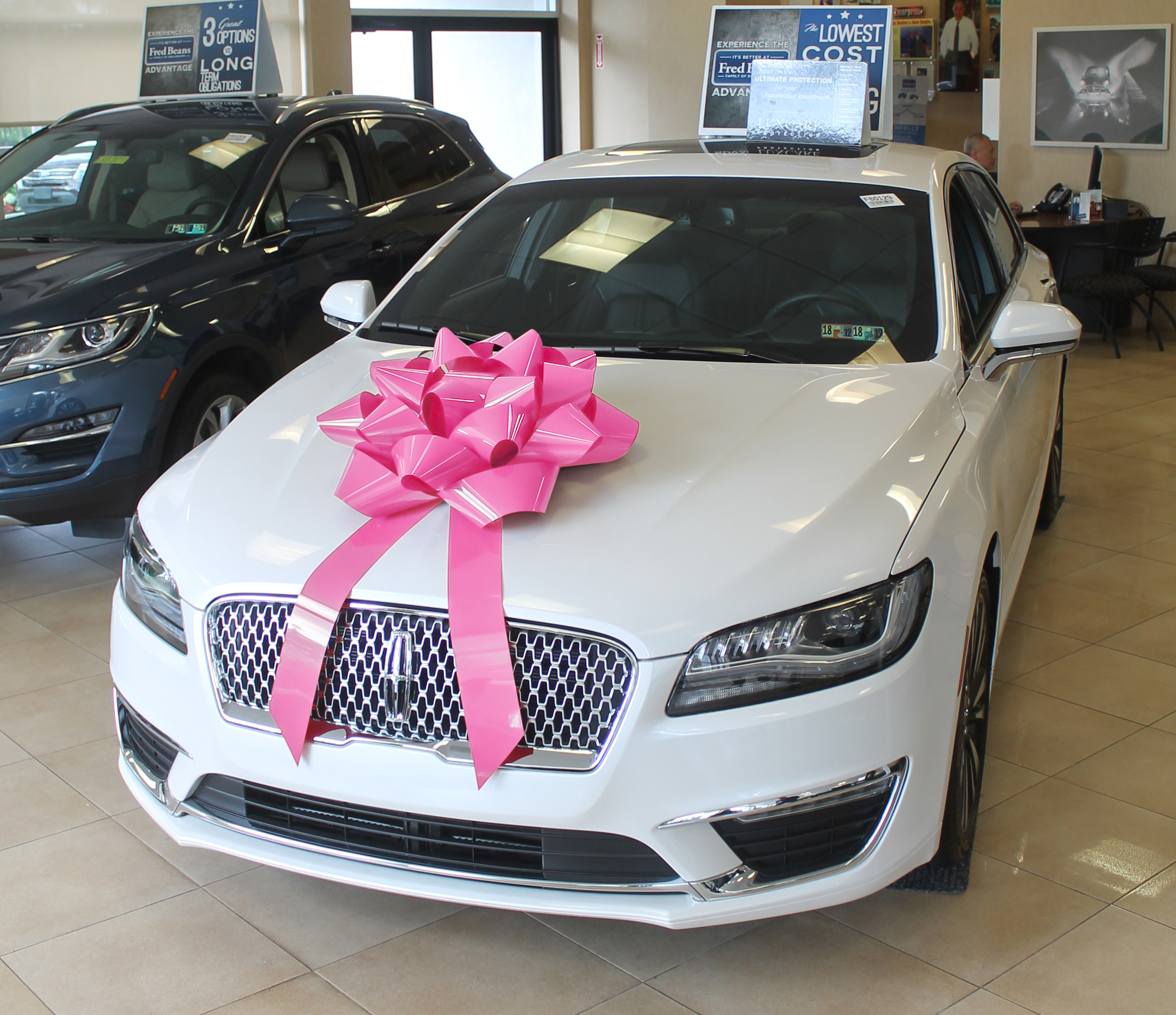 Large Gift Bows For Cars, US Auto Supplies